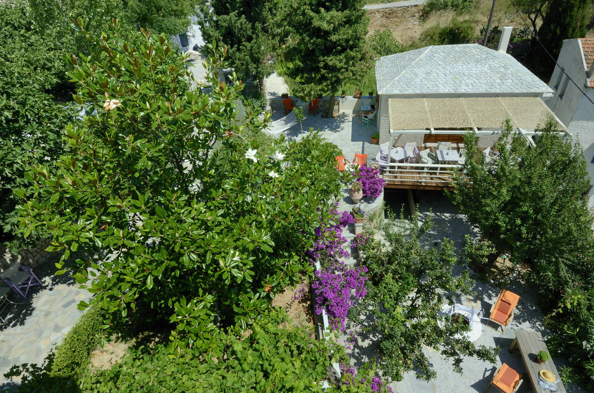Konstantina Studios Alónnisos Eksteriør bilde